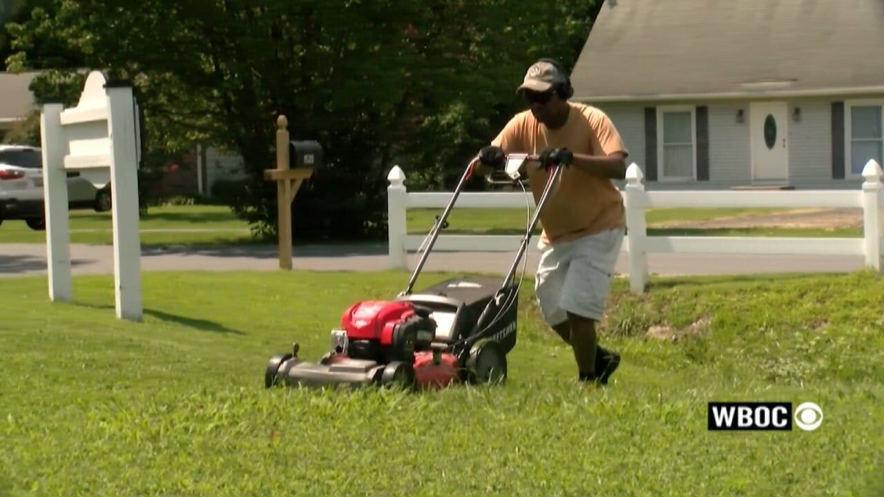 Cambridge Cracking Down on Tall Grass Violations